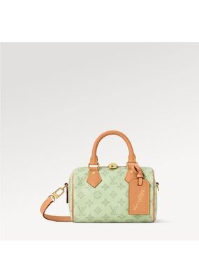 Louis Vuitton mint green & Cream Monogram 20 speedy with Tan Leather Trim